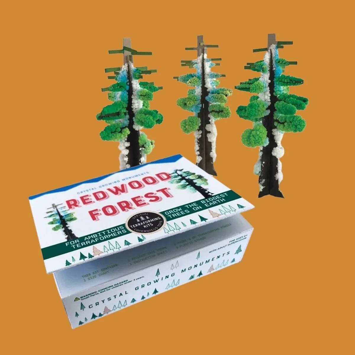 Copernicus Toys educational toy, toy store in Lexington, KY, educational toys near Lexington, Kentucky (KY)